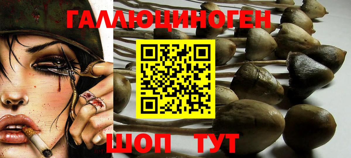 Каменск-Уральский  Галлюциногенные грибы MAGIC MUSHROOMS  Вход с VPN 