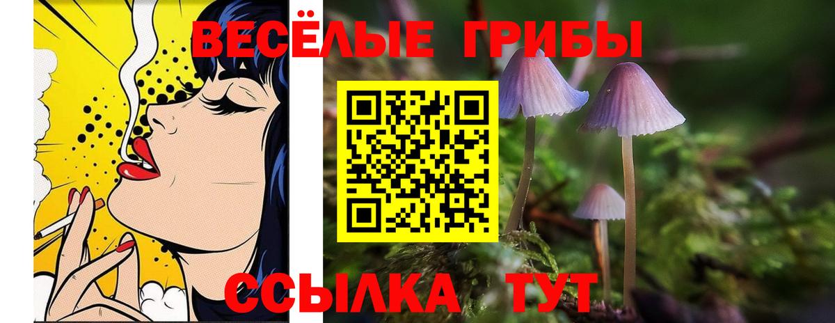 Псилоцибиновые грибы Magic Shrooms Каменск-Уральский